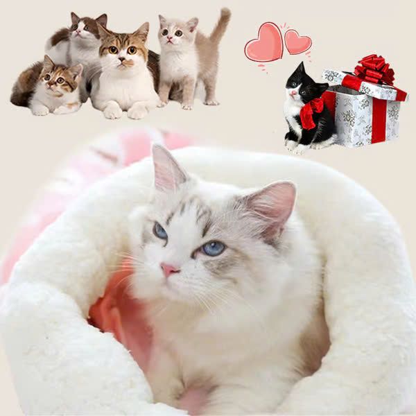 Last Day 49 OFF - Cozy Pet Nest for Small Cats and Dogs - Image 6